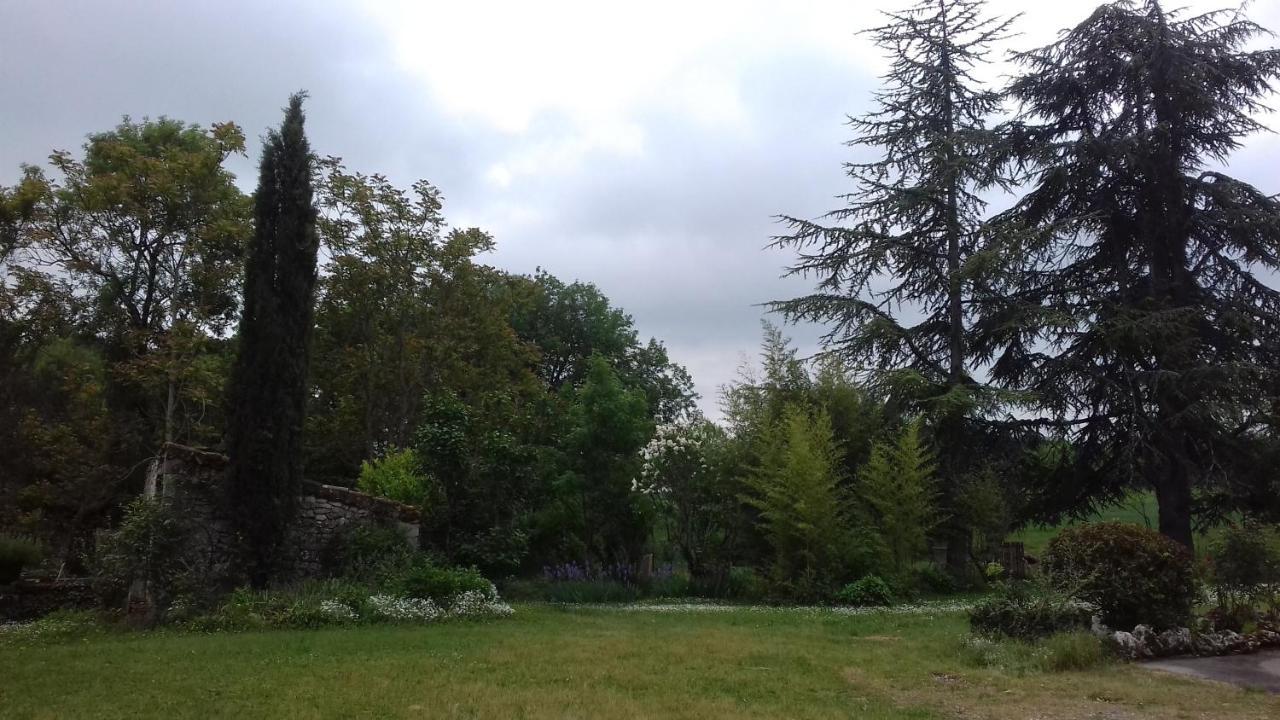 Domaine De Seguela Bed and Breakfast Fargues  Buitenkant foto