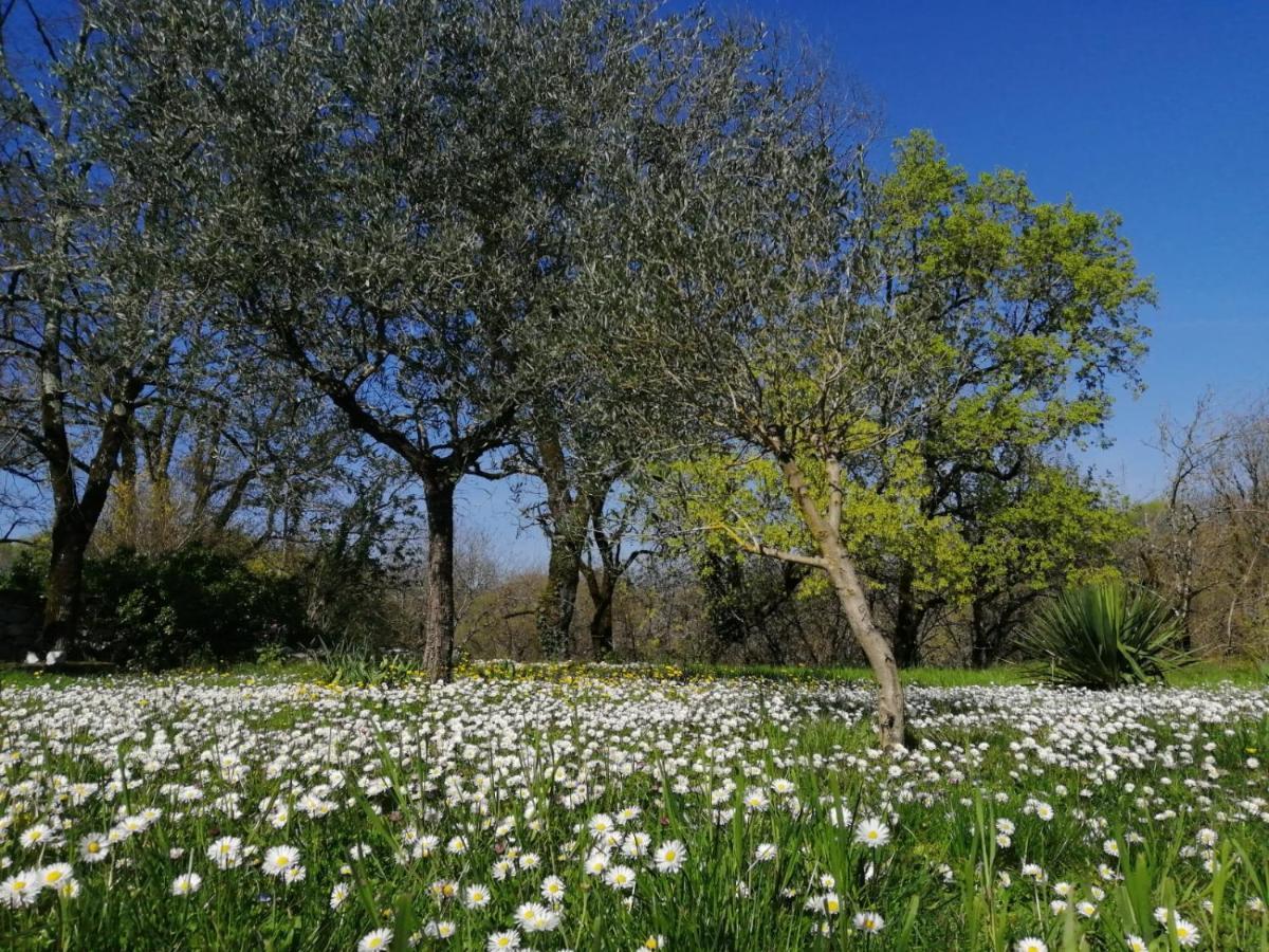Domaine De Seguela Bed and Breakfast Fargues  Buitenkant foto