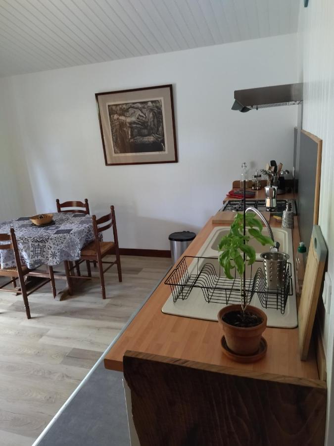 Domaine De Seguela Bed and Breakfast Fargues  Buitenkant foto