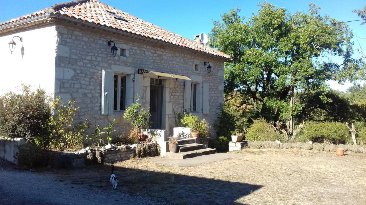 Domaine De Seguela Bed and Breakfast Fargues  Buitenkant foto